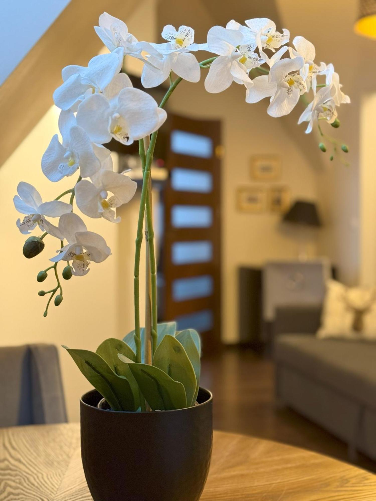 Apartament Glamour I Закопане Екстериор снимка